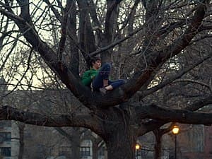 English: A woman who has climbed up a tree in ...